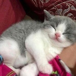 Meet your Posher, Angela